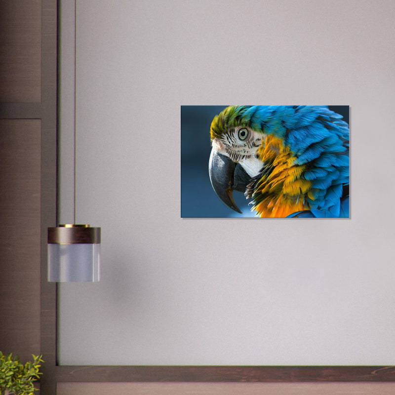 Vibrant Parrot Canvas Wall Art Prints | Millionaire Mindset Artwork