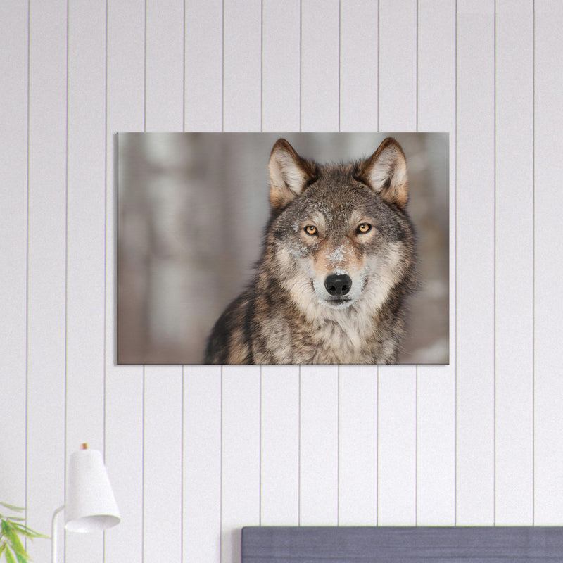 Wolf Canvas Wall Art | Wolf Canvas Print | Millionaire Mindset Artwork