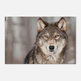 Wolf Canvas Wall Art | Wolf Canvas Print | Millionaire Mindset Artwork