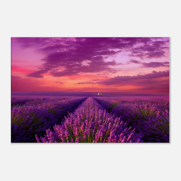Purple Wall Art | Lavender Field Canvas | Millionaire Mindset Artwork