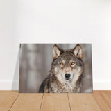 Wolf Canvas Wall Art | Wolf Canvas Print | Millionaire Mindset Artwork