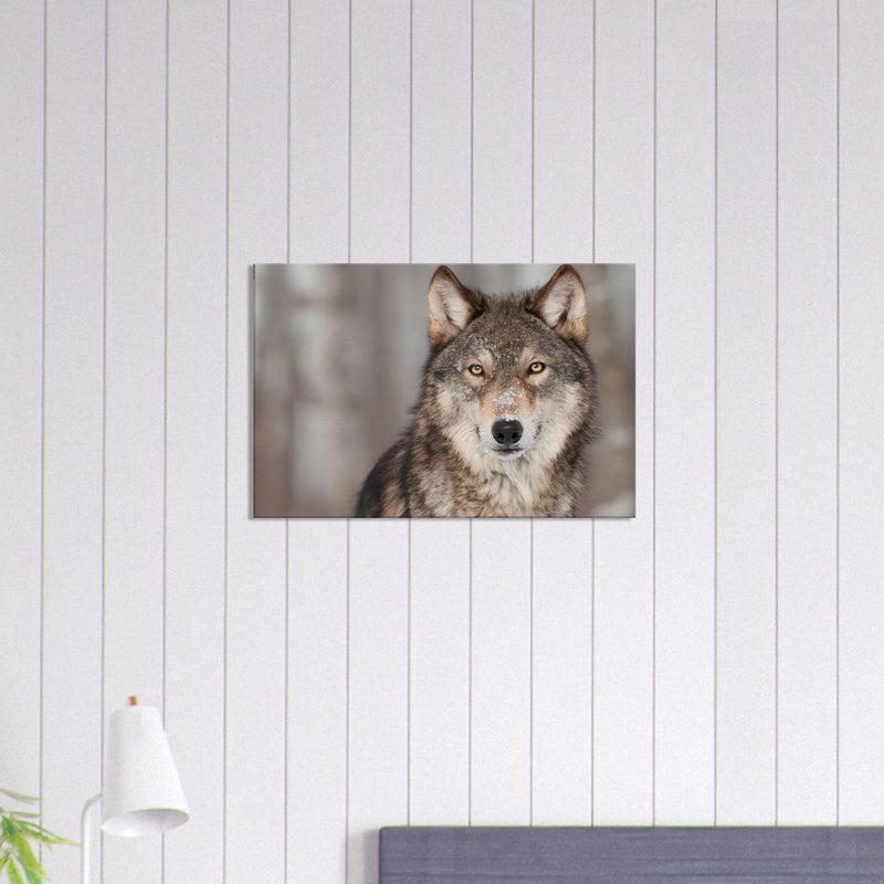 Wolf Canvas Wall Art | Wolf Canvas Print | Millionaire Mindset Artwork