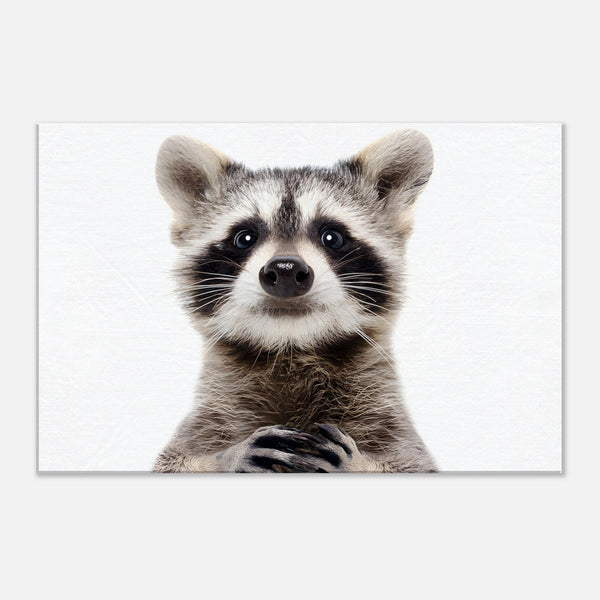 Racoon Canvas Wall Art For Living Room | Millionaire Mindset Artwork