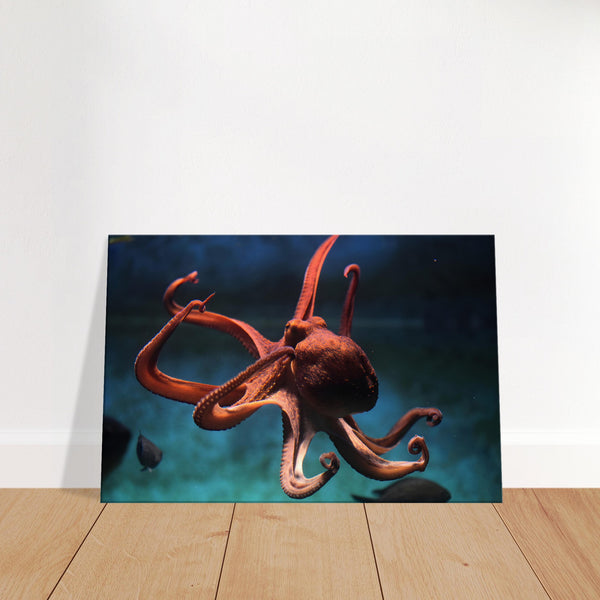 Sea Life Octopus Wall Art Canvas Print | Millionaire Mindset Artwork