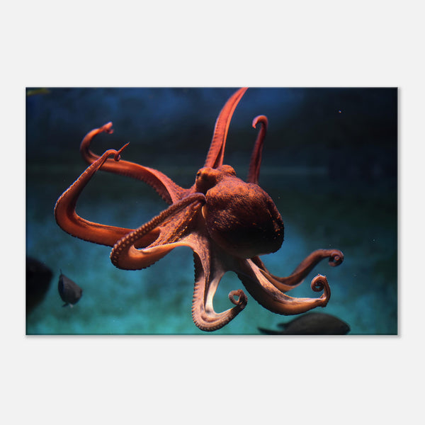 Sea Life Octopus Wall Art Canvas Print | Millionaire Mindset Artwork