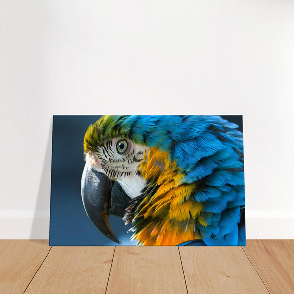 Vibrant Parrot Canvas Wall Art Prints | Millionaire Mindset Artwork