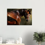 Horse Wall Art Canvas For Living Room | Millionaire Mindset Artwork