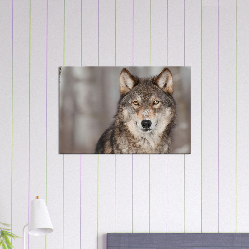 Wolf Canvas Wall Art | Wolf Canvas Print | Millionaire Mindset Artwork