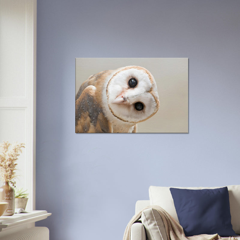 Owl Canvas Wall Art | White Owl Print | Millionaire Mindset Artwork