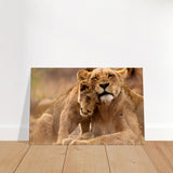 Lion Canvas Wall Art | Lions Canvas Print| Millionaire Mindset Artwork