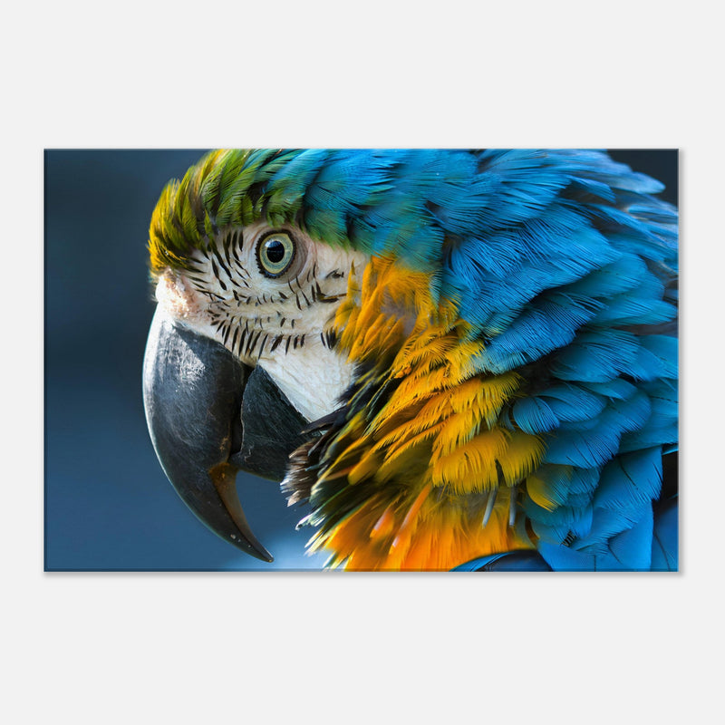 Vibrant Parrot Canvas Wall Art Prints | Millionaire Mindset Artwork