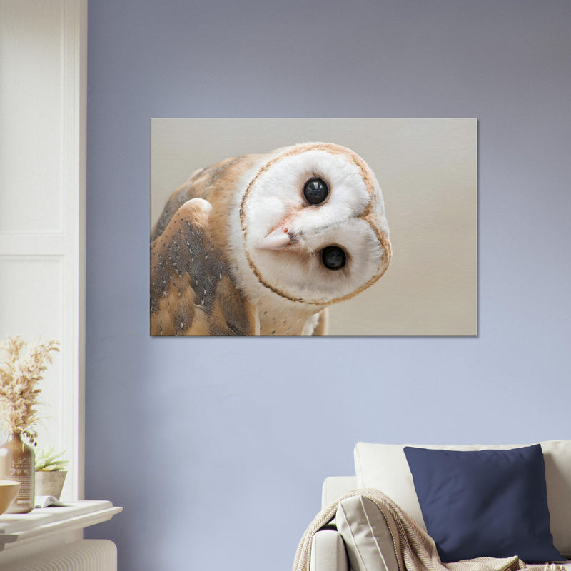 Owl Canvas Wall Art | White Owl Print | Millionaire Mindset Artwork