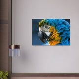 Vibrant Parrot Canvas Wall Art Prints | Millionaire Mindset Artwork