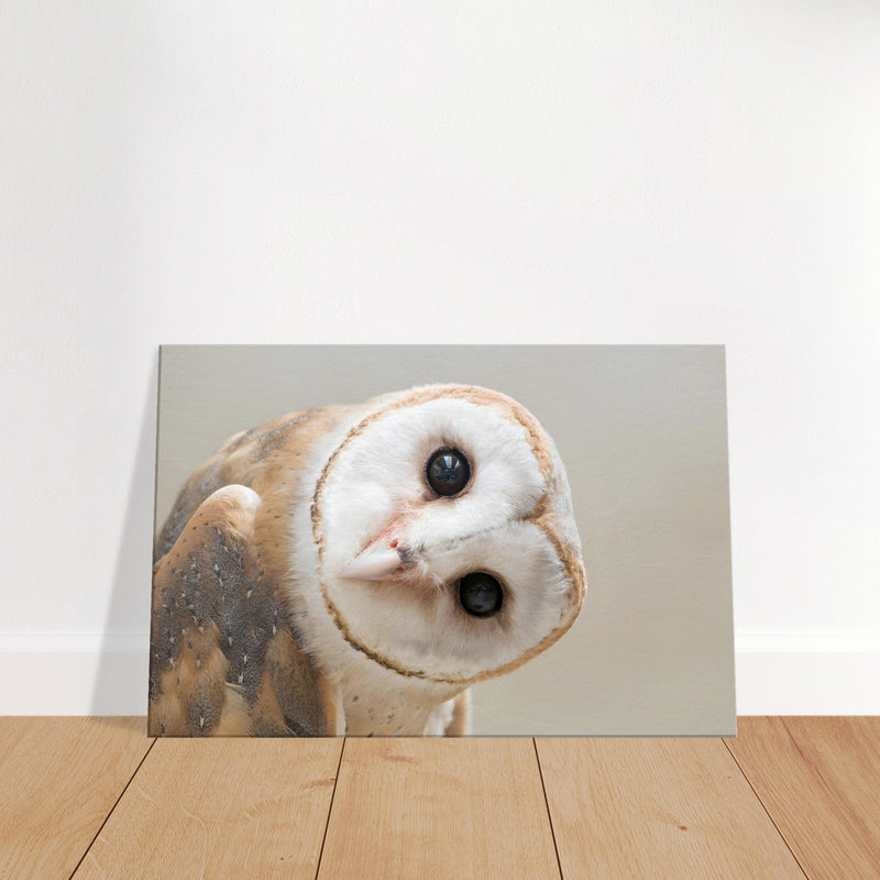 Owl Canvas Wall Art | White Owl Print | Millionaire Mindset Artwork