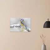 Songbird Canvas